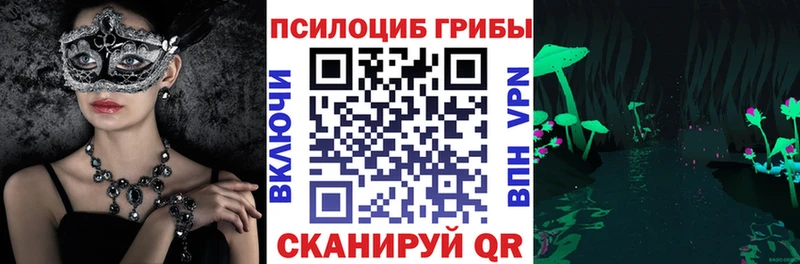 где купить   Отрадная  Псилоцибиновые грибы Psilocybine cubensis 