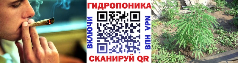цены наркотик  Отрадная  Конопля план 